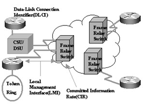 络工程师考点Frame Relay_网络工程师_软考学