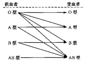 设计一个血型配对指示器。输血时供血者和受血
