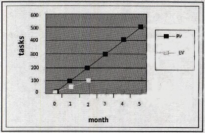 Project manager is managing a five months' pro