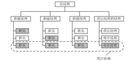 强矩阵型组织