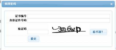 输入申报时所填写的证书号码、身份证件号码、及验证码