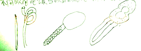 122.jpg