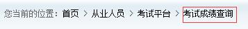 考试成绩查询