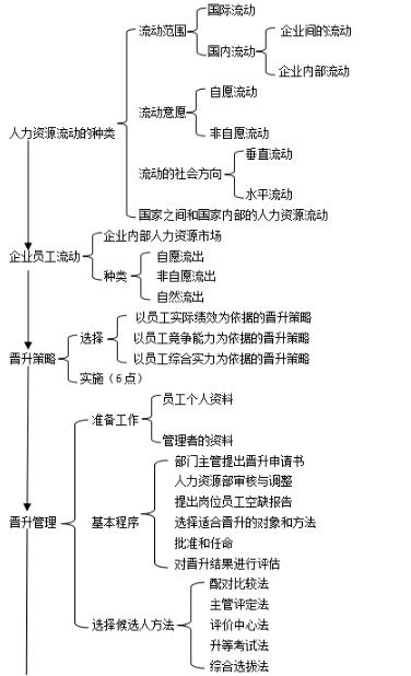 第二章思维导图：人力资源流动管理