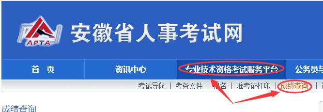 安徽省二建成绩查询入口：安徽省人事考试网