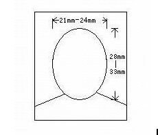 人力资源管理师报名照片要求