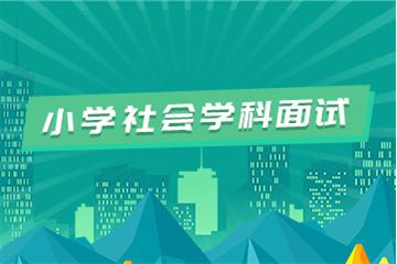 小学教师资格证考试面试视频教程（社会科学）